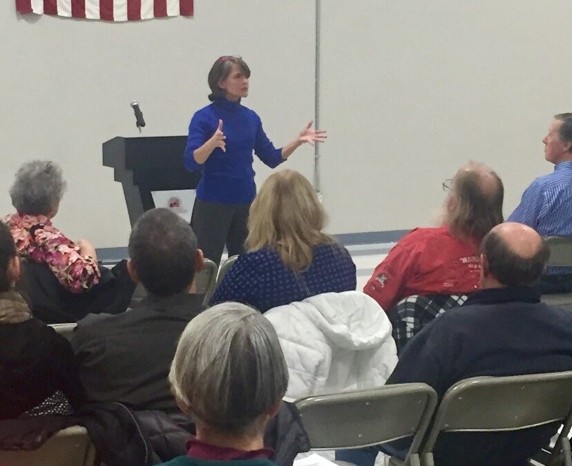 Mussman Talks Property Taxes, Jobs at Schaumburg Town Hall