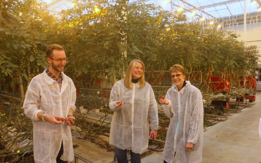 Kifowit Explores Hydroponic Farming Potential in Illinois