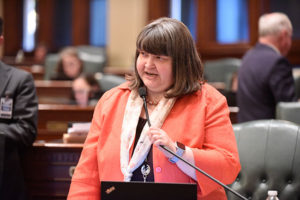 State Rep. Diane Pappas advocates for fairer taxes, lower health care costs and a growing economy as part of her building a stronger Illinois plan.